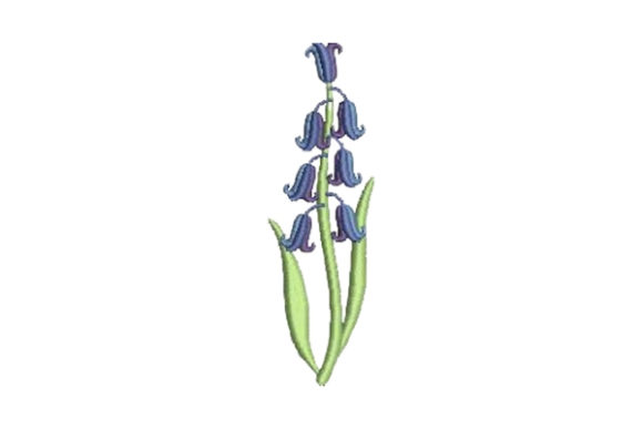 Bluebell Embroidery Design Review: A Fresh Floral for Real Projects